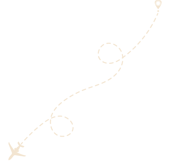 متجه الطائرة